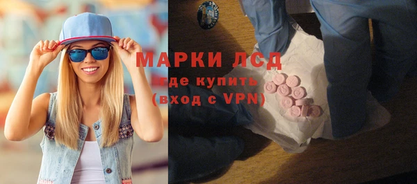 индика Алексин