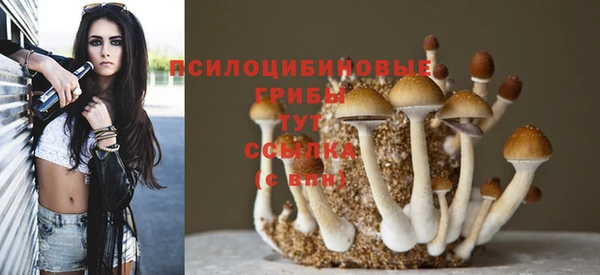 индика Алексин