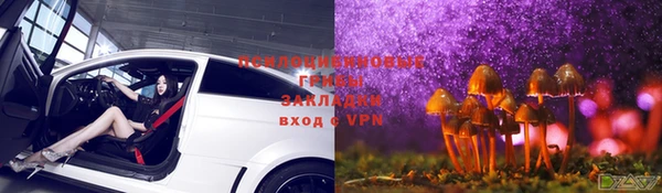 соль курить ск Алексеевка