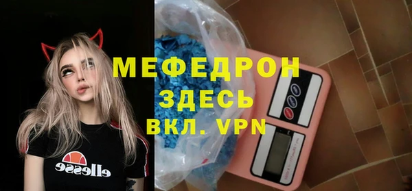 индика Алексин