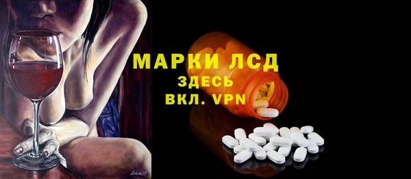 индика Алексин