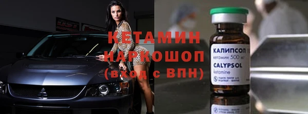 индика Алексин