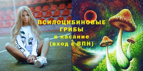 индика Алексин