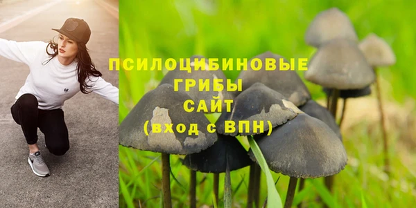 индика Алексин