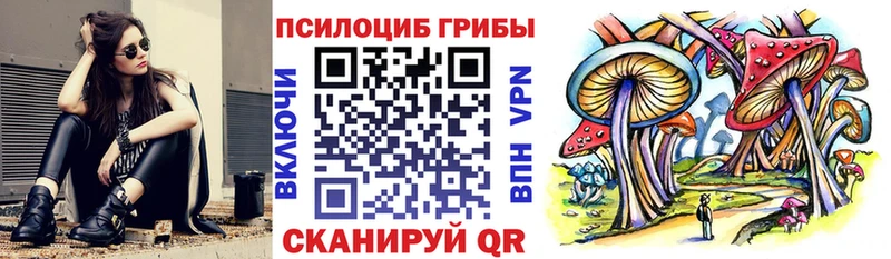 Псилоцибиновые грибы Magic Shrooms  kraken ТОР  Вихоревка 